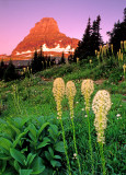 (CR35) Alpenglow on Beargrass and Mt. Clemens, Glacier N. P., MT