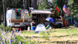 Nice place to camp
