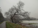 le canal en hiver