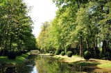 Jardin anglo-chinois, Parc du Château de Chantilly - 6789