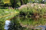 Jardin anglo-chinois, Parc du Château de Chantilly - 6793