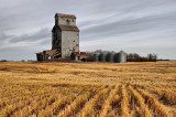 Fall Baring SK.