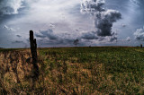 Spring Old School Yard Near Frobisher SK.