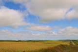 Summer Flintoft SK.