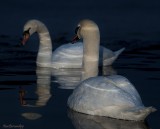 BLUE SERIAL.Another Couple