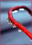 RED DEADLINE
