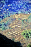 The Slopes o fthe Himalayas