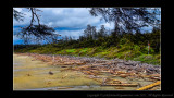 2011 - Vancouver Island - Pacific Rim National Park - Wickaninnish Beach