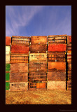 D3X3_3666_62_AppleBoxes.jpg
