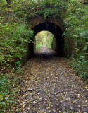 Old Rail Tunnel, Lazenby Bank Eston UK