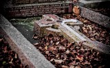 Thornaby Cemetery, UK