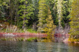 Lake Scene.jpg