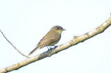 20111006-DSC_9462.jpg