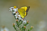 20111010-DSC_1100.jpg