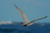 20111105-DSC_5871.jpg