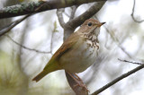 20120504-DSC_6743.jpg