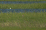 20120601-DSC_4090.jpg