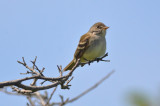 20120601-DSC_4166.jpg