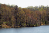 Spring arrives a Black Hill park