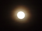 A bright moonlit night