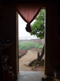 A very foggy morning