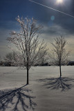 Icy Winter LandscapeMarch 8, 2011