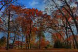 Autumn Scene in HDRNovember 11, 2011