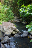IMG_0244_DxO.JPG