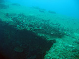IMG_1194.JPG