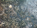 IMG_1428.JPG