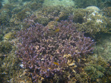 IMG_1567.JPG