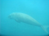 IMG_1629.JPG