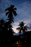 IMG_1965_DxO.JPG