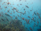 IMG_2035.JPG