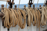 IMG_8989_DxO.JPG