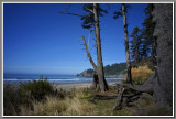 Oswald State Park