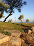 photo3_clorepark_8.jpg