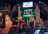 Sat Nite at Cat's Meow