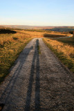 Me and my shadow