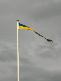 This is Sweden