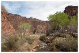 Bright Angel Creek