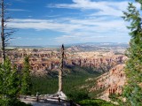 102 Bryce Canyon 2.jpg