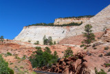 317 Zion Mt Carmel Highway 5.jpg