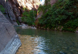 466 Zion Narrows 14.jpg