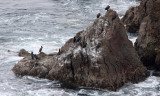 CAPE IRAGO - MIE PREFECTURE JAPAN (29).JPG