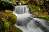 White Head Creek