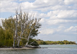 Florida Intracoastal