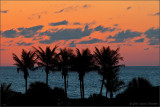 sunrise 1