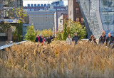 field walk