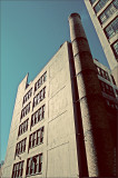 the plant